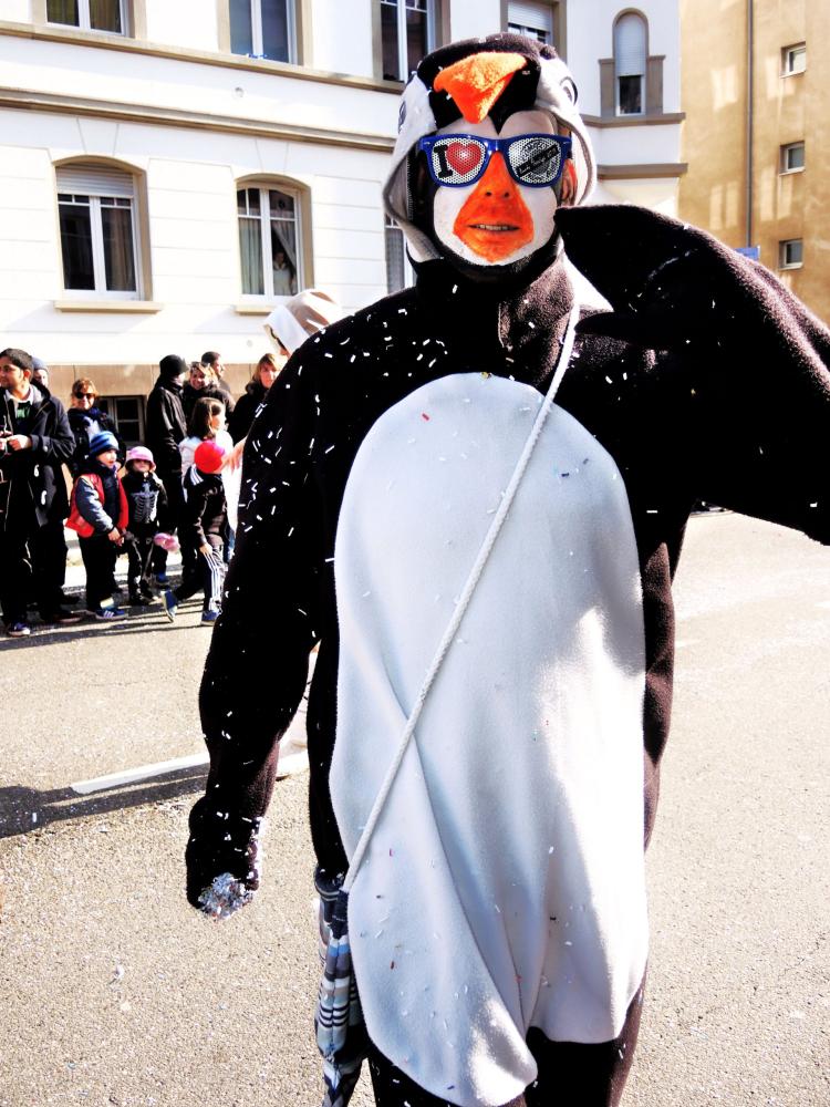 Strasbourg - Carnival (© Jean Espirat)
