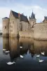 Sully-sur-Loire - Cygnes et château