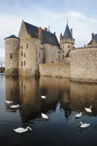 Swan and castle