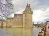 Sully-sur-Loire - Castello Sully-sur-Loire (© Jean Espirat)
