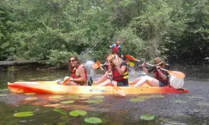 Descenso al día entre Charroux y Civray.