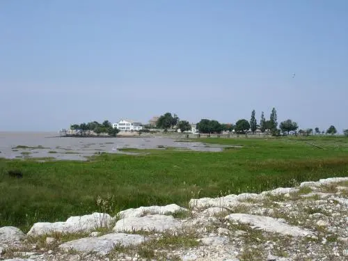 Talmont-sur-Gironde - Vue sur mer