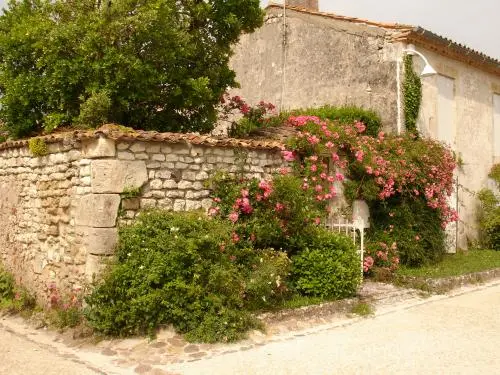 Talmont-sur-Gironde - En balade dans les rues de Talmont