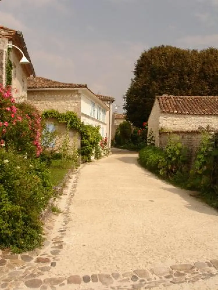 Talmont-sur-Gironde - Le charme de Talmont