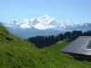Panorama del Monte Bianco in estate