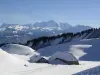 Panorama del Monte Bianco in inverno