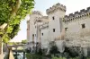 Tarascon - Tourism, holidays & weekends guide in the Bouches-du-Rhône