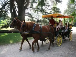 Jardin Massey : calèche