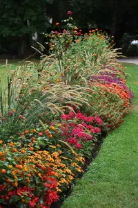 Parade de fleurs