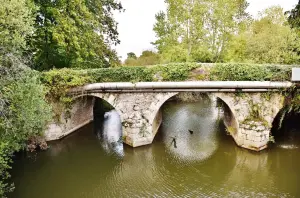 Bridge over the Yvel