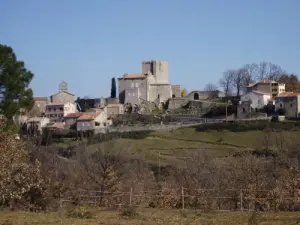 Tauriers depuis la route de Joannas