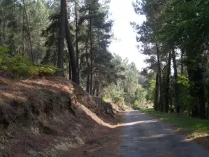 Route de Tauriers à Largentière