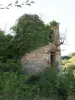Ruïnes van Kasteel Grandval