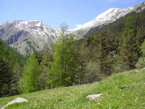 Tende - Pascoli, Casterino borgo