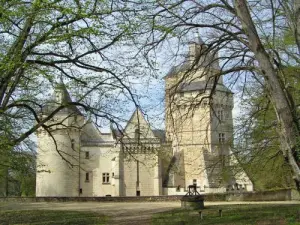 Château de Ternay, façade est