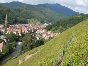 Der Weinberg Rangen mit Gesamtansicht der Stadt