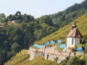 Weinberg Rangen mit der Ruine im Hintergrund (© Ph. Moris)