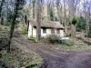 Thann - Cabane forestière, près de la fontaine Saint-Hubert (© J.E)