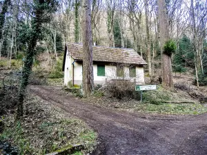 Waldhütte, in der Nähe des Saint-Hubert-Brunnens (© JE)