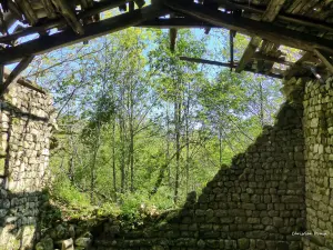 Ruine du hameau de Fargebelle