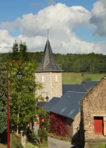 Vue sur Saint-Martin-de-Sallen (© Greg Wait)