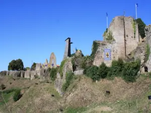 Castle Tiffauges