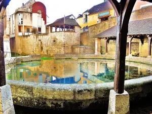 Fontaine-résurgente nommée Fosse Dionne - Vue de l'arrière du bassin (© Jean Espirat)