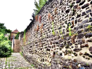 Overblijfselen van de middeleeuwse muur, Place de la Révolution (© JE)