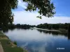 Toulouse - The Garonne