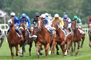 Racecourse of Clairefontaine - Flat