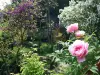 Jardin d'Eden - Lieu de loisirs à Tournon-sur-Rhône