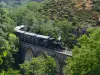 Train de l'Ardèche