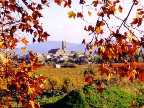 How Many Rooms Has Hotel L Aragon Carcassonne How Many Rooms Has Hotel L Aragon Carcassonne