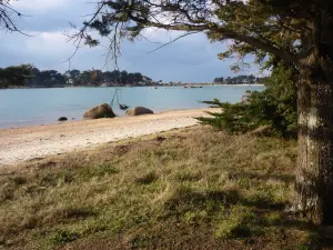 Vue vers l'île Renote