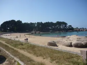 Spiaggia di Tourony a Trégastel