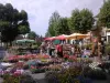 Flower Market