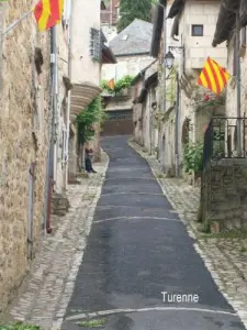 Una strada del villaggio