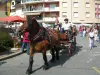 Ugine - Festival del cavallo