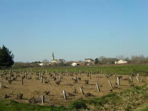 Vairé - Guía turismo, vacaciones y fines de semana en Vendée