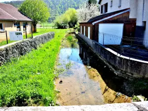 Creek of Vaire-le-Grand (© J.E)