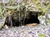 Arcier Springs Cave的门廊（©J.E）