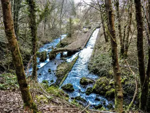 Ruisseau (aménagé), de la petite source d'Arcier (© J.E)