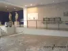Museo Archeologico Théo Desplans - Luogo di svago a Vaison-la-Romaine