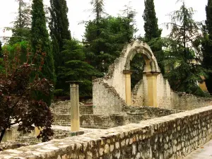 Remains of Vaison-la-Romaine