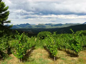 I dintorni di Vaison-la-Romaine