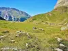 Lanslebourg-Mont-Cenis - Col du Petit Mont-Cenis