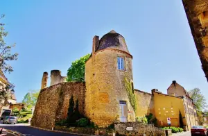 Castle of Sainte-Alvère