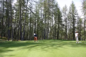 Valberg Golf Club, before the larch forest