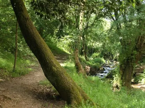 Valbonne - spoor van Brague ( © Olivier Boudewijn)