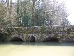 Chambon-sur-Cisse - The old bridge over the Cisse